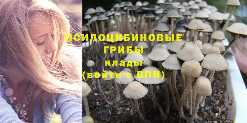 Галлюциногенные грибы Magic Shrooms  кракен зеркало  Бикин 